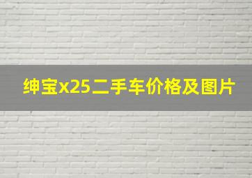 绅宝x25二手车价格及图片