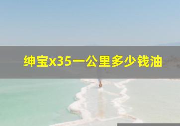 绅宝x35一公里多少钱油