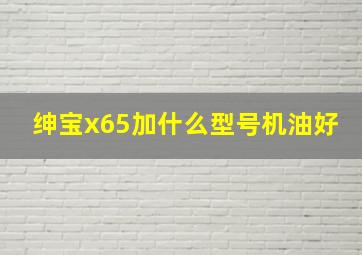 绅宝x65加什么型号机油好