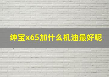 绅宝x65加什么机油最好呢