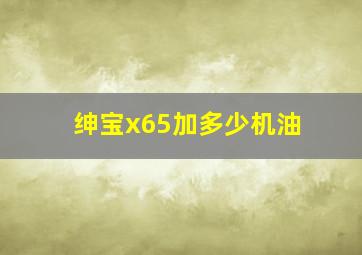 绅宝x65加多少机油