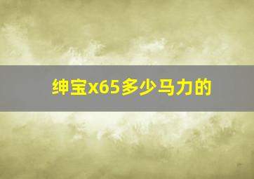 绅宝x65多少马力的