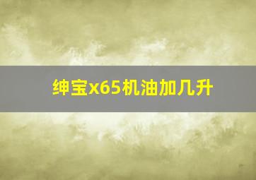 绅宝x65机油加几升