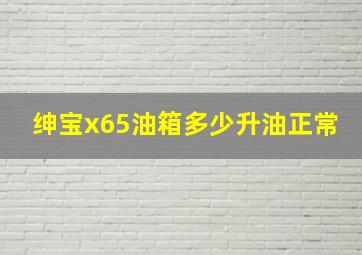 绅宝x65油箱多少升油正常