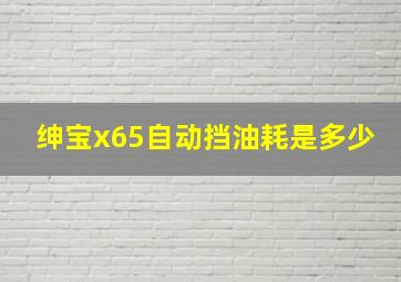 绅宝x65自动挡油耗是多少