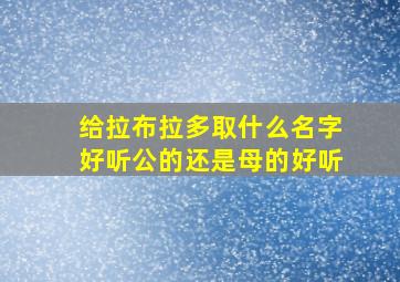 给拉布拉多取什么名字好听公的还是母的好听