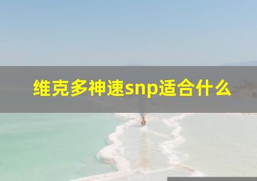 维克多神速snp适合什么