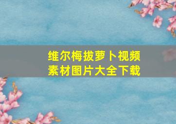 维尔梅拔萝卜视频素材图片大全下载