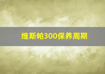 维斯帕300保养周期