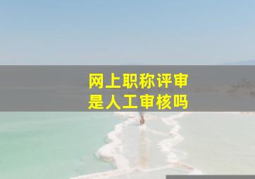 网上职称评审是人工审核吗