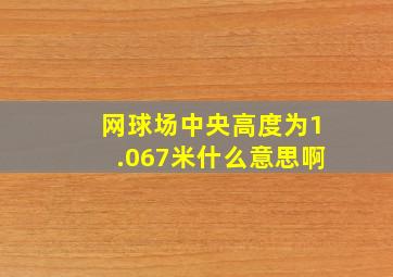 网球场中央高度为1.067米什么意思啊