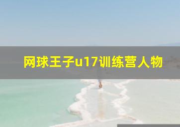 网球王子u17训练营人物