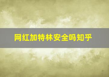 网红加特林安全吗知乎