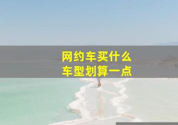 网约车买什么车型划算一点