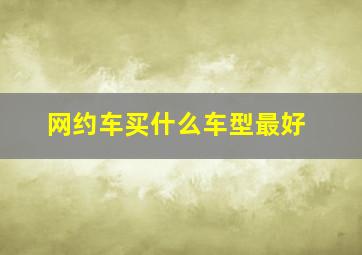 网约车买什么车型最好