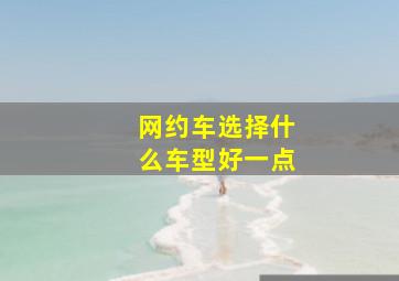 网约车选择什么车型好一点