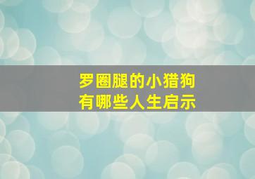 罗圈腿的小猎狗有哪些人生启示