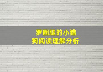 罗圈腿的小猎狗阅读理解分析