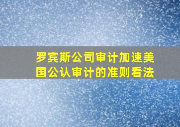 罗宾斯公司审计加速美国公认审计的准则看法