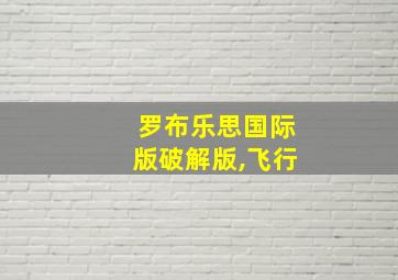 罗布乐思国际版破解版,飞行