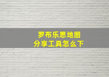 罗布乐思地图分享工具怎么下