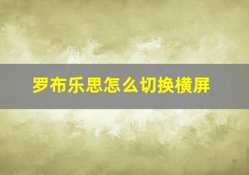 罗布乐思怎么切换横屏