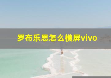 罗布乐思怎么横屏vivo