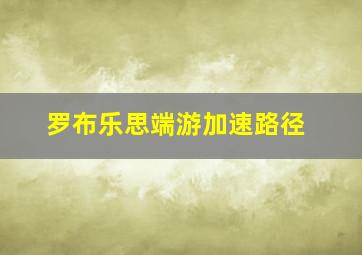 罗布乐思端游加速路径