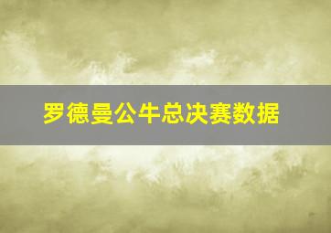 罗德曼公牛总决赛数据