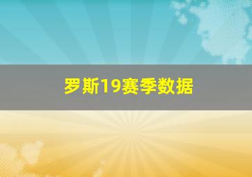 罗斯19赛季数据