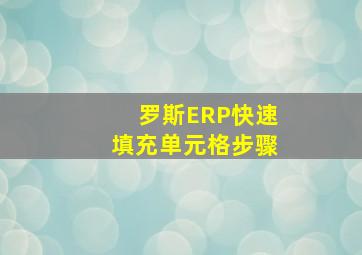 罗斯ERP快速填充单元格步骤