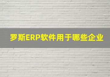 罗斯ERP软件用于哪些企业