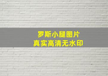 罗斯小腿图片真实高清无水印