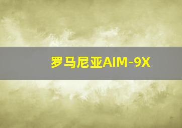 罗马尼亚AIM-9X