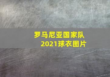 罗马尼亚国家队2021球衣图片