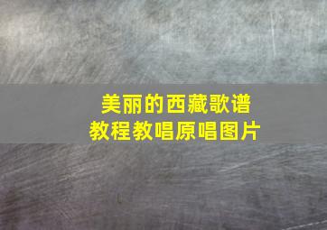 美丽的西藏歌谱教程教唱原唱图片