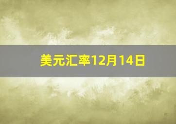 美元汇率12月14日