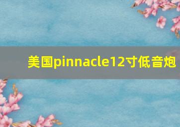 美国pinnacle12寸低音炮