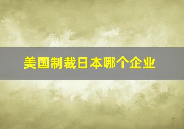 美国制裁日本哪个企业