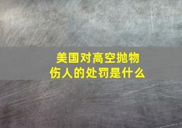 美国对高空抛物伤人的处罚是什么