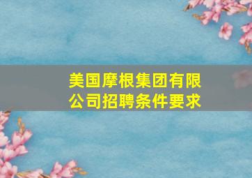 美国摩根集团有限公司招聘条件要求