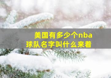 美国有多少个nba球队名字叫什么来着