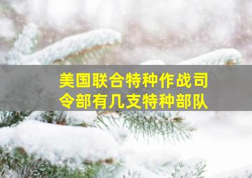 美国联合特种作战司令部有几支特种部队