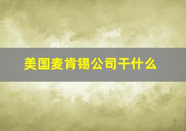 美国麦肯锡公司干什么