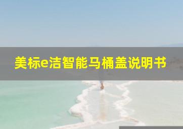 美标e洁智能马桶盖说明书