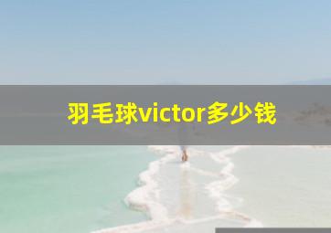 羽毛球victor多少钱