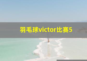 羽毛球victor比赛5