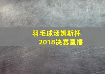 羽毛球汤姆斯杯2018决赛直播