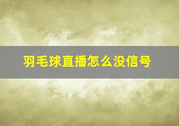 羽毛球直播怎么没信号