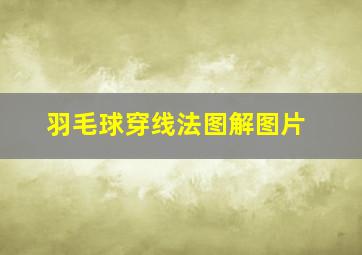 羽毛球穿线法图解图片